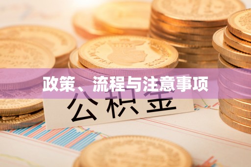 楚雄政策、流程与注意事项