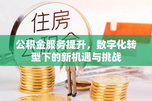 楚雄公积金服务提升，数字化转型下的新机遇与挑战