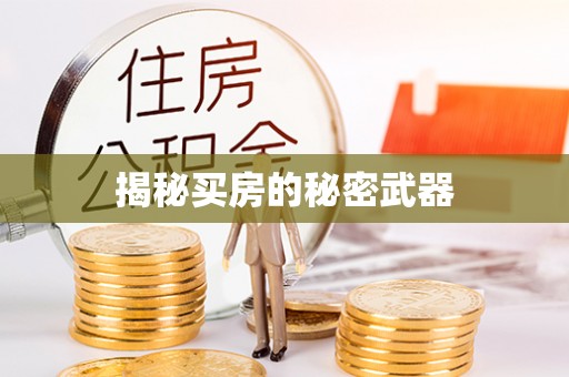 楚雄揭秘买房的秘密武器