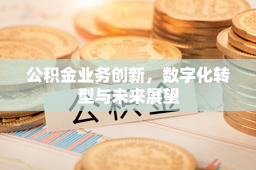 楚雄公积金业务创新，数字化转型与未来展望