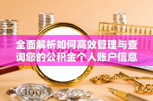 楚雄全面解析如何高效管理与查询您的公积金个人账户信息