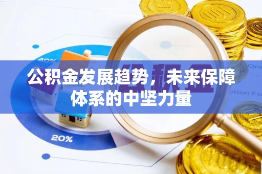 楚雄公积金发展趋势，未来保障体系的中坚力量