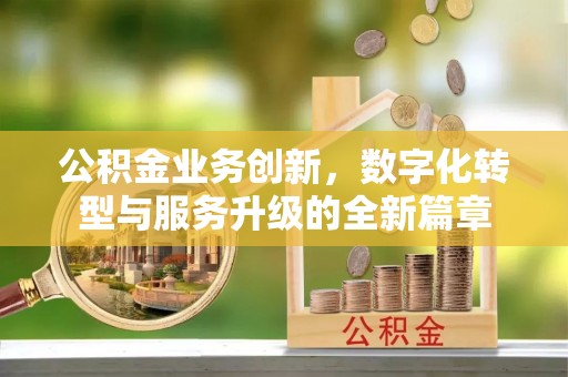 楚雄公积金业务创新，数字化转型与服务升级的全新篇章
